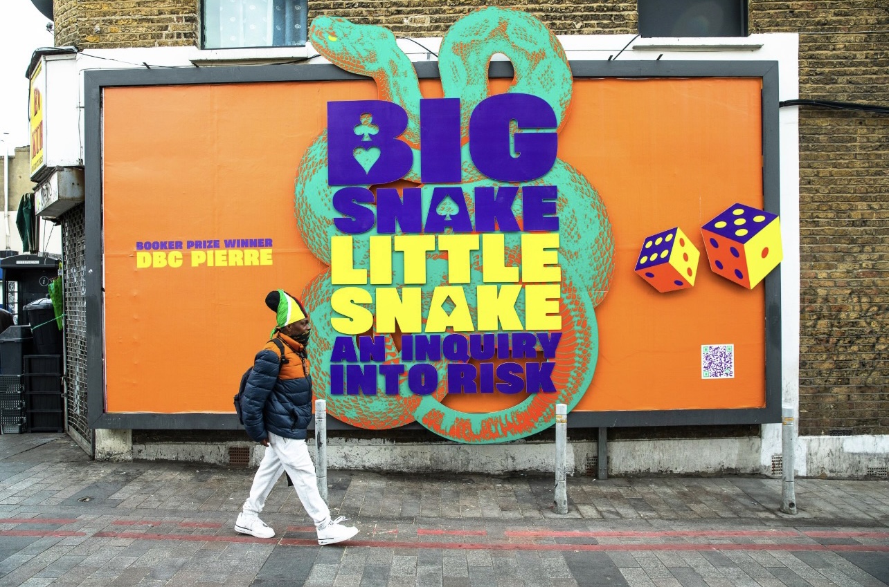 big-snake-little-snake-an-inquiry-into-risk-banner